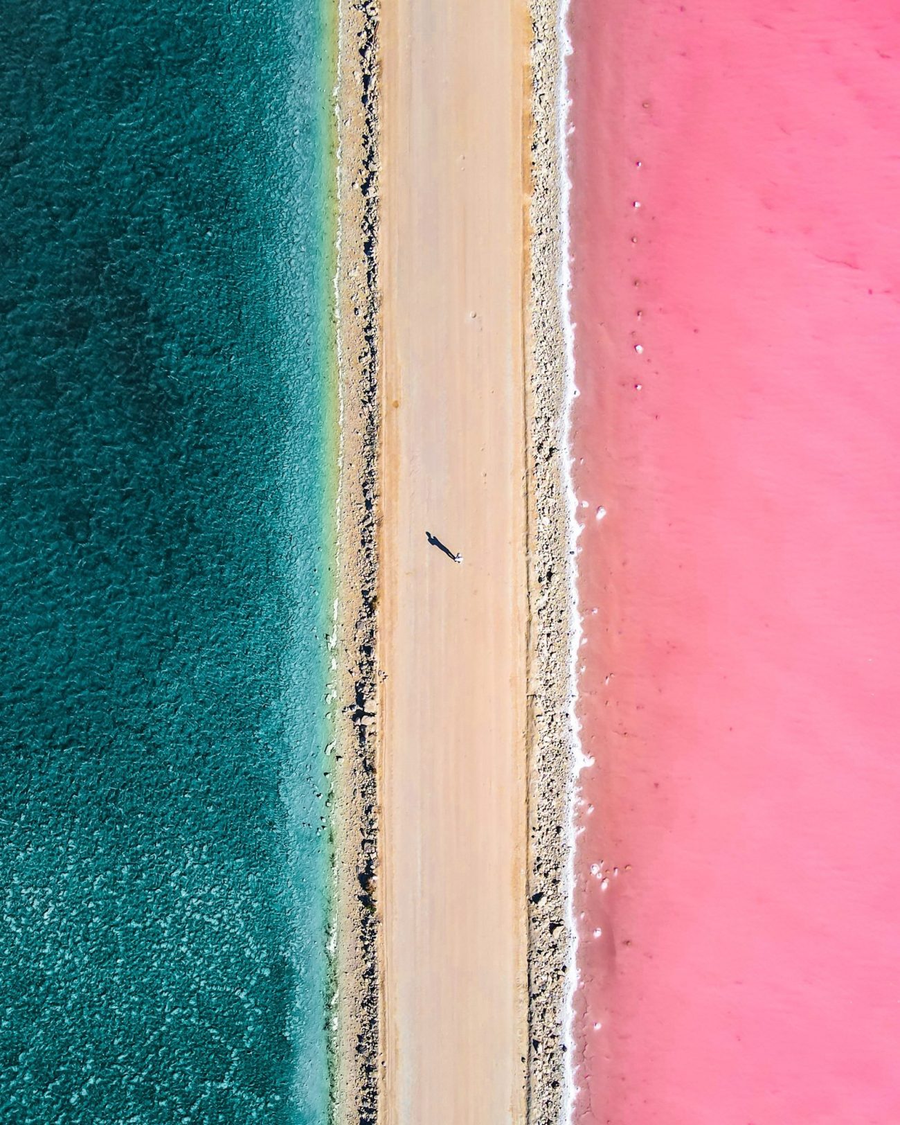 Aerial drone photography of Lake MacDonnell showing its pink hues and the blue sea.