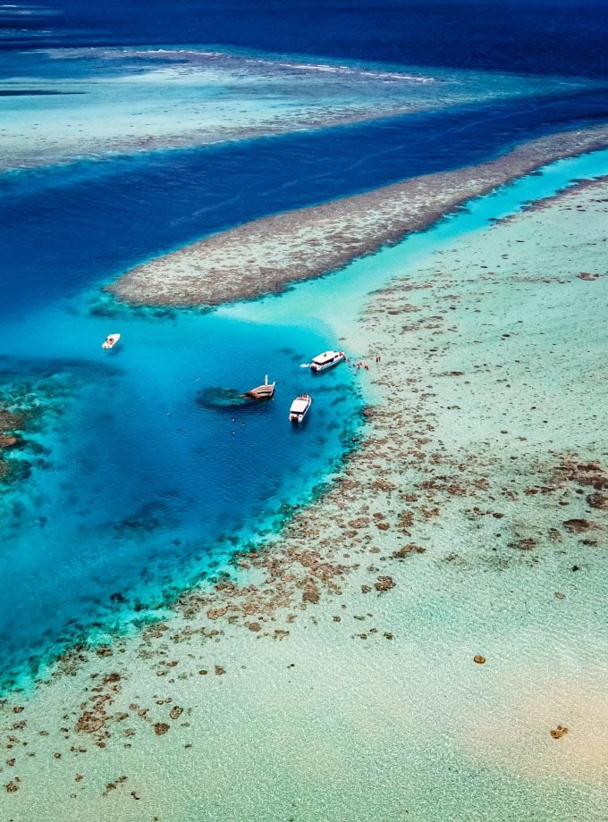 Shades of the reef Maldives - teddy_mlfr
