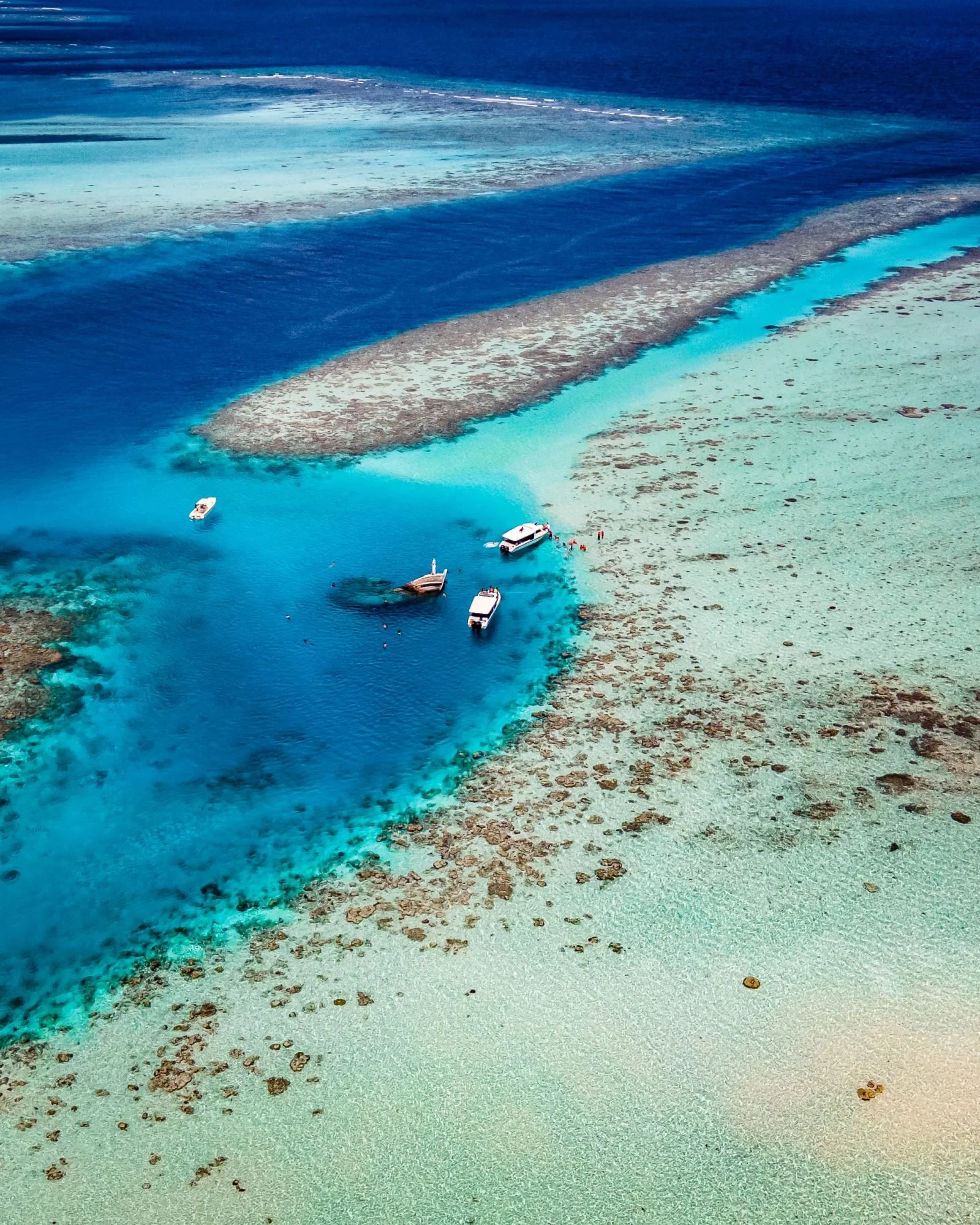 Shades of the reef Maldives - teddy_mlfr