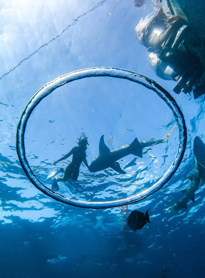 Perfect Water Hole - Maldives - Teddy Mlfr