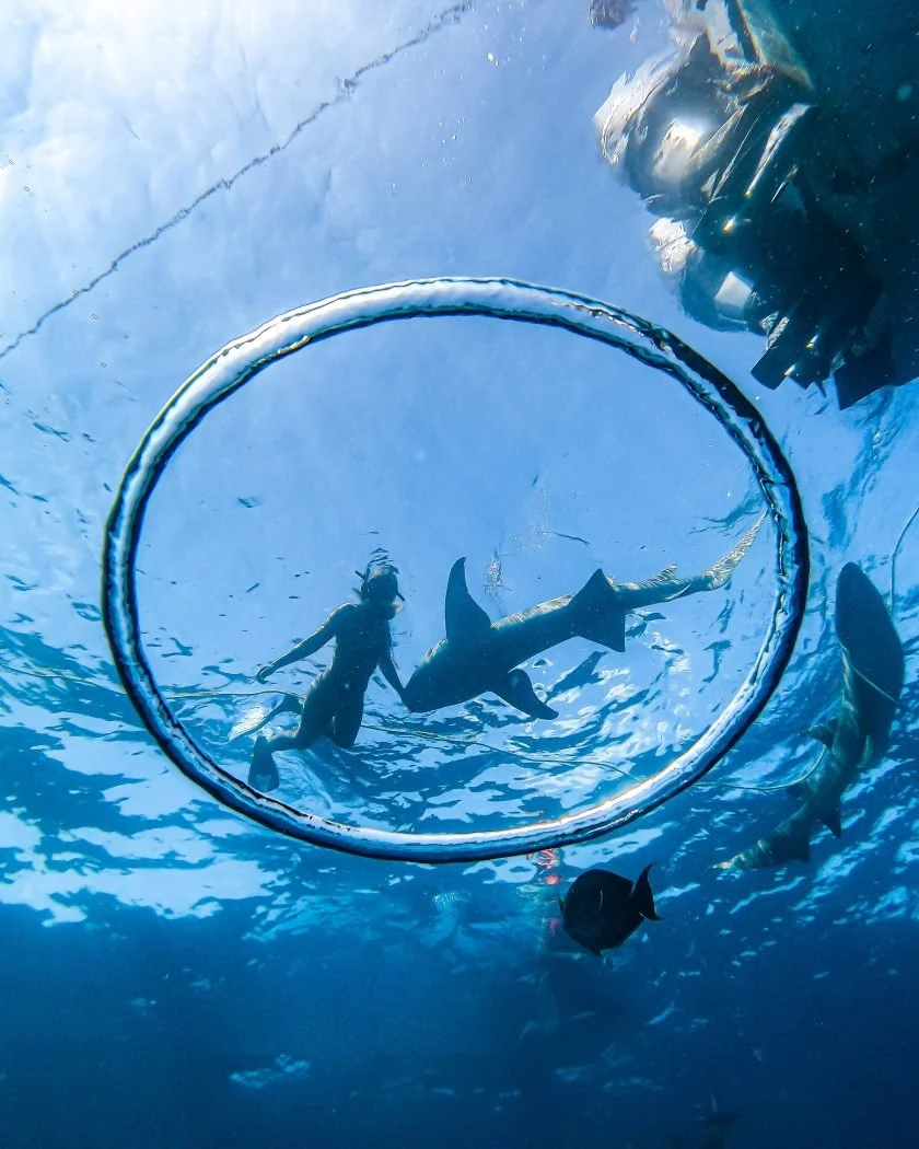 Perfect Water Hole - Maldives - Teddy Mlfr